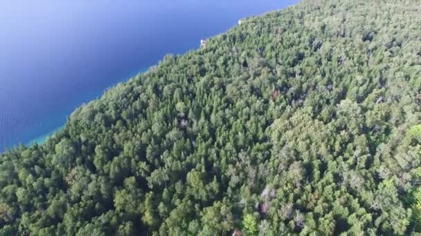 Εναέρια Πλάνα Του Πευκοδάσους Εκθέτοντας Αργά Αρκετά Κυανό Νερό Του — Αρχείο Βίντεο