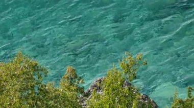 Kıyı şeritlerindeki yapraklı çalılar berrak ve canlı Cyan okyanus suyu