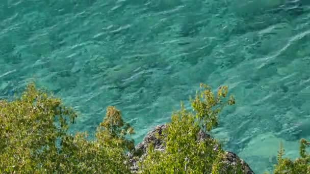 Liściasty Krzak Brzeg Limfatyczny Żywy Cyjan Oceaniczny Woda — Wideo stockowe
