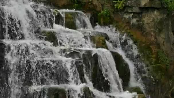 Agua Cayendo Cascada Por Una Gran Formación Rocosa Con Plantas — Vídeos de Stock