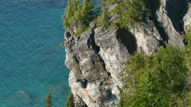 Large Stone Part Cliff Side Clear Blue Water Birds Flying — Stock Video