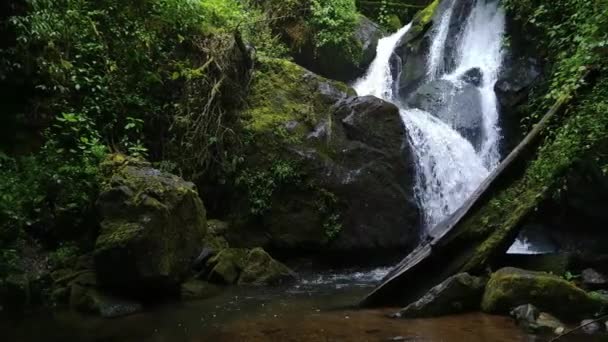 Steadicam Acercándose Exuberante Cascada Tropical Centroamérica — Vídeo de stock