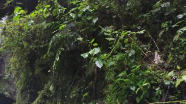 Yavaş çekimde uzun bir şelale sahnesi.