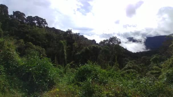 Beautiful Lush Valley Viewed Elevated Corner Slow Pan Shot — Stock Video