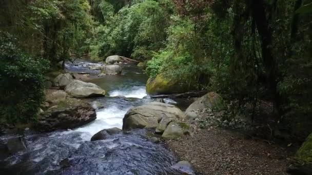 Deslumbrante Deslizamento Tiro Sobre Rio Que Flui Selva Profunda Costa — Vídeo de Stock