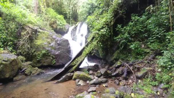Super Wide Pan Shot Water Cascading Fall Pure Rainforest — Stockvideo