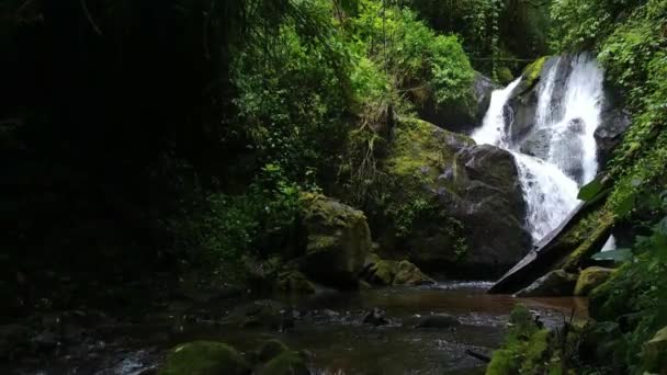 Αργή Κίνηση Προς Εμπρός Gimbal Shot Του Τροπικού Καταρράκτη Δημιουργώντας — Αρχείο Βίντεο