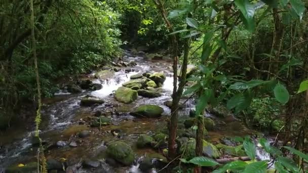 Plan mouvant de la rivière tropicale vu d'un point de vue élevé 