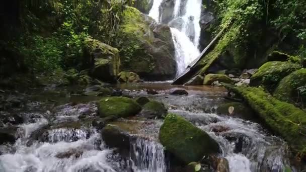 非常にゆっくりと美しい滝と常緑ジャングルのショットを傾ける — ストック動画
