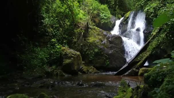 Weelderige Jungle Rivier Costa Rica Gezien Gimbal Gemonteerde Camera — Stockvideo