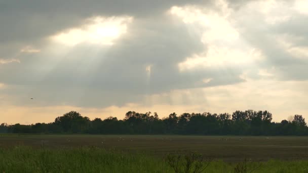 雲を通してピアスと輝く前に太陽からの光 — ストック動画