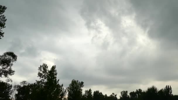 Timelapse Cielos Nublados Moviéndose Rápido Con Árboles Silueta Alrededor — Vídeos de Stock