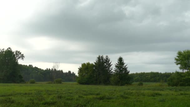 清澈的草地 绿树成荫 长满了白云 — 图库视频影像
