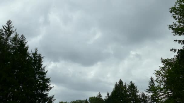Stormachtige Hemel Met Snel Bewegende Wolken Tijdspanne Die Tussen Bomen — Stockvideo