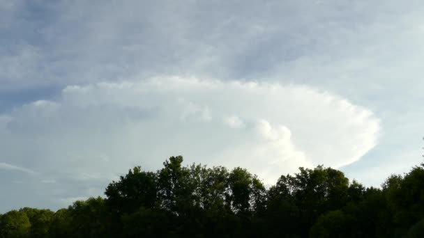 Εκπληκτική Timelapse Του Αμόνι Cumulonimbus Incus Εξέλιξη Σύννεφο — Αρχείο Βίντεο