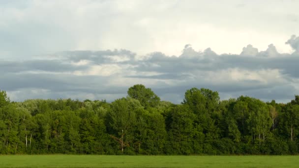 Хрустящий Чистый Выстрел Лесной Линии Замеченный Временной Орбите Движущимися Облаками — стоковое видео