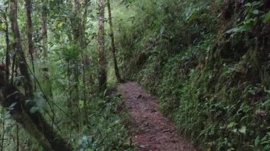 Kosta Rika 'nın yüksek arazisinin sabit çekim gücü yavaş ilerliyor.