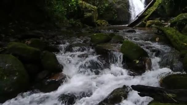 缓缓地揭示了瀑布映衬下的森林中美丽的河流倾斜的照片 — 图库视频影像