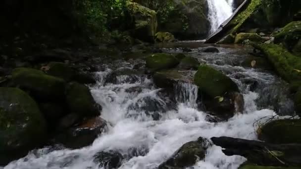 Découverte lente plan inclinable de la belle rivière dans la jungle avec cascade 