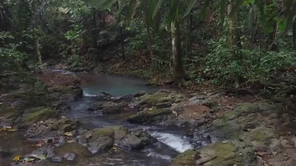 Fluxo Água Pura Selva Fluindo Silenciosamente Através Rochas Filmadas Gimbal — Vídeo de Stock