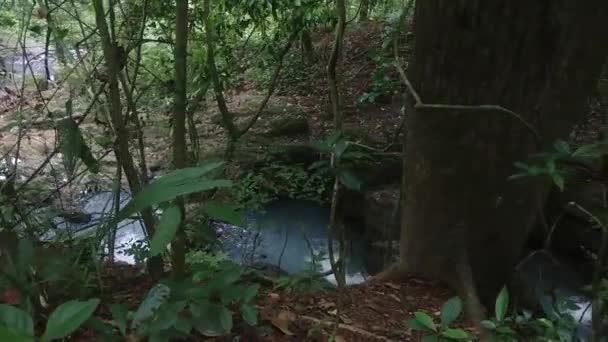 Paisaje Bastante Salvaje Centroamérica Con Cascada Selva Pura — Vídeos de Stock