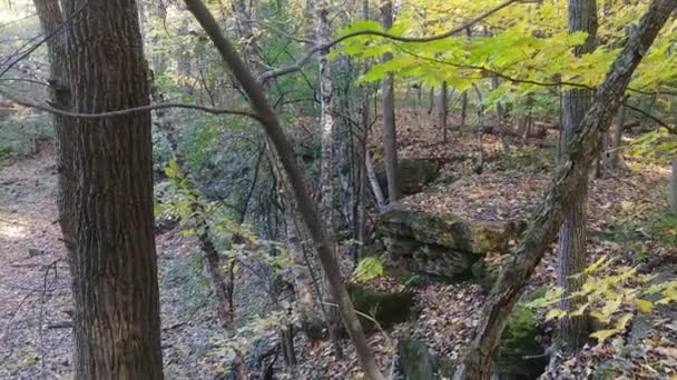 Τοπίο Των Βράχων Και Των Δέντρων Γυρίστηκε Steadicam Φθινόπωρο Στον — Αρχείο Βίντεο