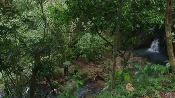 在巴拿马的滑翔甲板上拍摄的丛林中瀑布上升的有利位置 — 图库视频影像