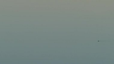 Saf bozulmamış ördek görüntüsü göl suyuna giriyor ve tüm kareyi dolduruyor.