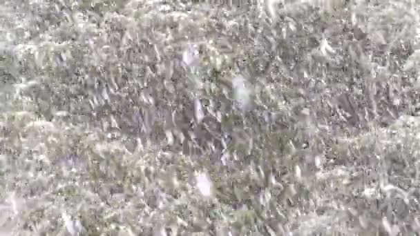 Nieve Muy Pesada Con Numerosos Copos Nieve Cayendo Frente Los — Vídeo de stock