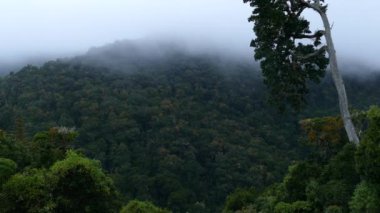 Kosta Rika 'da bulutları olan güzel dağların engin alacakaranlık zamanı
