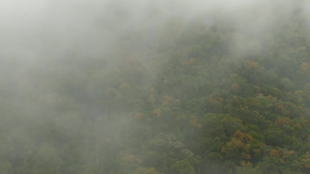 Timelapse de forêt montagneuse remplissant le cadre avec des nuages au premier plan 