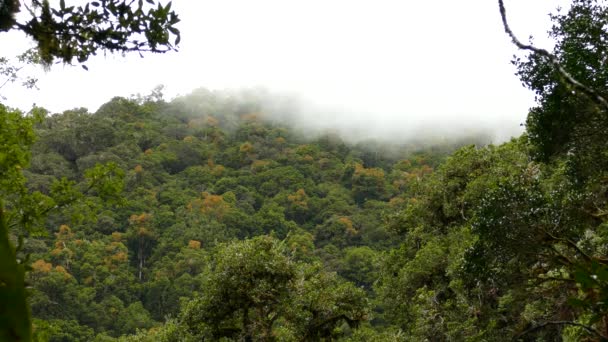 Timelapse de nuages se déplaçant au sommet d'une montagne tropicale en Amérique centrale 