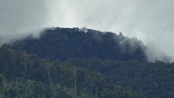 Tropical Mountain Top Cria Formação Nuvens Movimento Mudando Forma — Vídeo de Stock