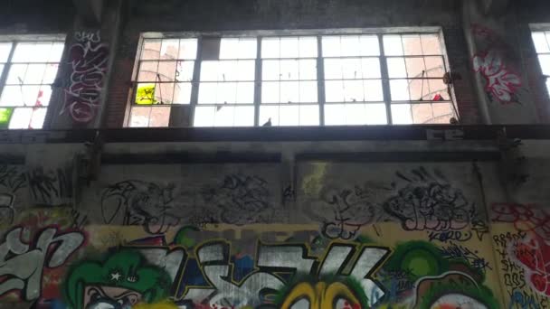 Spostamento Tilt Shot Telecamera Gimbal Montata Graffiti Con Uccello — Video Stock