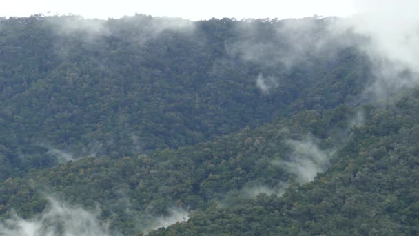 Foresta Nuvolosa Della Costa Rica Visto Timelapse Terreno Montagnoso — Video Stock