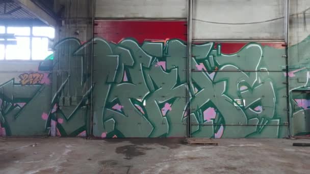 Pomalý Kluzák Záběru Velkých Graffiti Namalovaných Stěně Garáže — Stock video