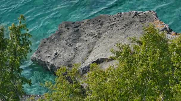Gołąb Spacerujący Dużym Naturalnym Kamieniu Otoczony Przejrzystą Turkusową Wodą — Wideo stockowe