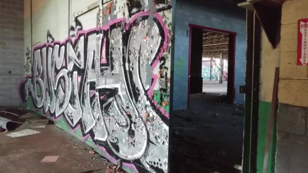 Velké Šedé Růžové Graffiti Malované Stěně Průmyslové Budovy — Stock video