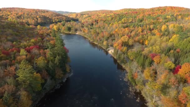 Prachtige Herfst Seizoen Met Landweg Langs Rustige Rivier Door Drone — Stockvideo