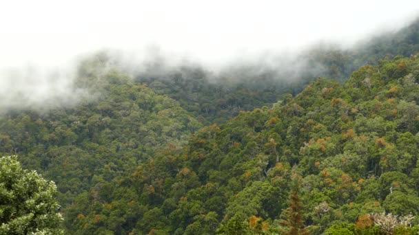 Timelapse Nuvole Che Muovono Velocemente Sopra Montagne Panoramiche Della Costa — Video Stock