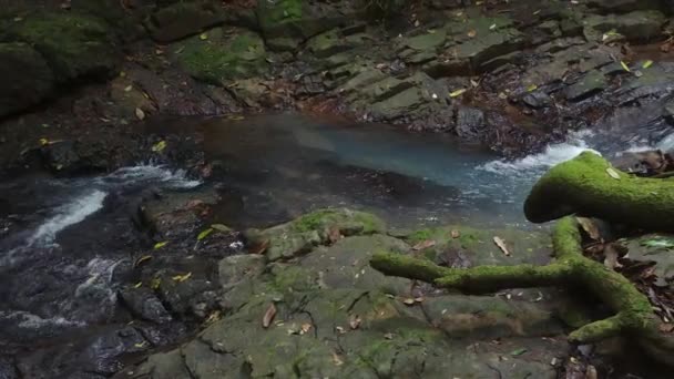 Balanço Deslizamento Lateral Cascata Água Selva Pura Floresta Tropical Panamá — Vídeo de Stock
