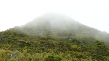 Vahşi doğada zaman kavramında görülen bulutlu manzara.