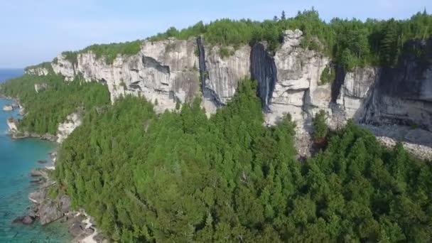 Drone Flying Away Dramatic Canadian High Cliffs Covered Trees — 图库视频影像