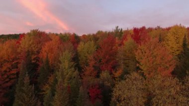 Kanada 'nın renkli sonbahar ormanlarının üzerinden uçmak için güzel bir zaman.
