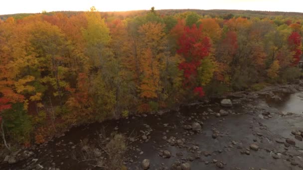 Langsamer Drohnenflug Über Den Fluss Bei Sonnenuntergang Mit Schönen Fallenden — Stockvideo
