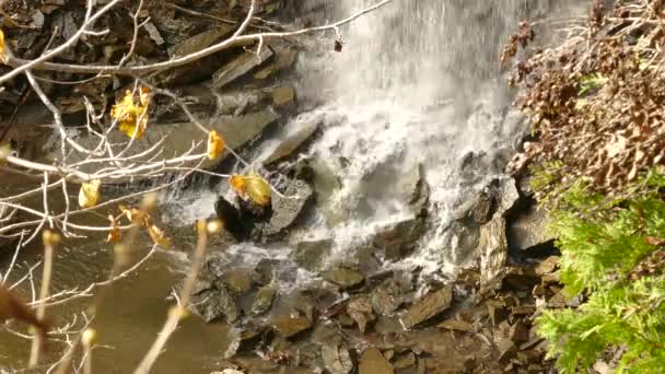 滝からの水はカスケードの底の岩の上に墜落します — ストック動画