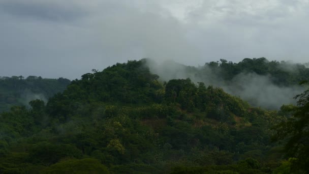 코스타리카의 안개낀 구름이들 가로지르며 이동하고 — 비디오