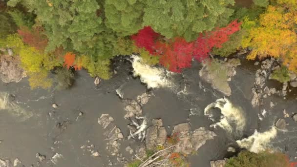 Rovně Nad Hlavou Drone Záběr Podzimu Řeky Kamenným Korytem Řeky — Stock video