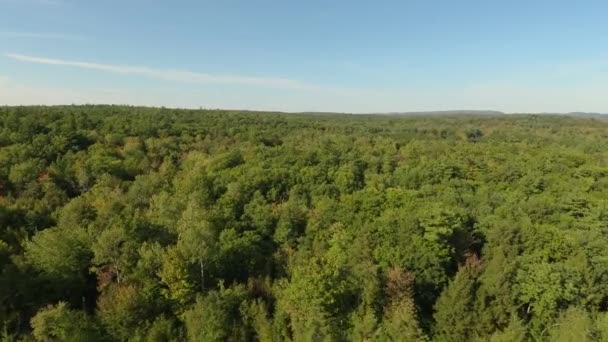 Aerial Rising Shot Deep Forested Woodlands Sun Blue Sky — Stock Video