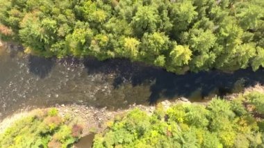 Islak nehrin üzerinde uçan dron ve sonra doğal ağaç duvarının diğer tarafında kurumuş nehir.